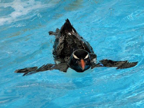 2018年は「DIVE（ダイブ）」の一年にしたいと思います。