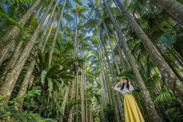 沖縄にある日本最大級の屋外植物園『東南植物楽園』とはどんなところなのか。