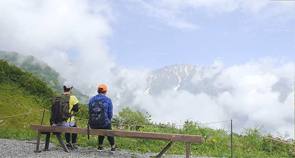 「白馬五竜高山植物園」が”国内最大”の高山植物園であることを初めて知りました