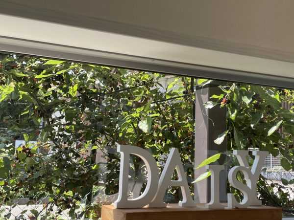 無農薬自家栽培ハーブティーカフェ「herb & garden DAISY」が魅力的