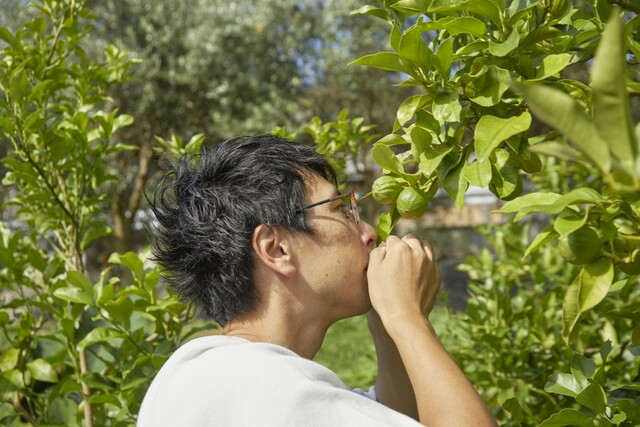 多様なお茶の面白さ伝えたい！日東紅茶のECサイト「nittoh.1909」での魅力的な試み