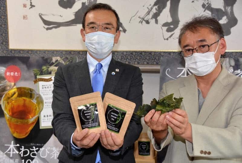 長野県の”産”と”学”で開発した、ワサビの葉を活用した「本わさび茶」が気になります。